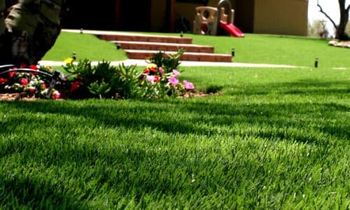Artificial Turf Cost in San Diego (2025)