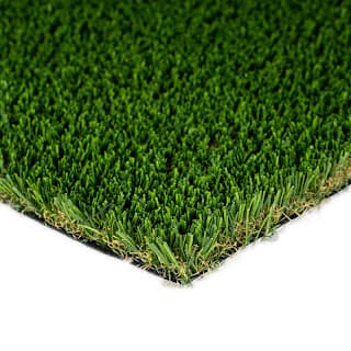 Best Artificial Turf for Dogs in San Diego