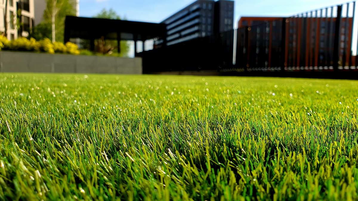 Premium artificial turf lawn